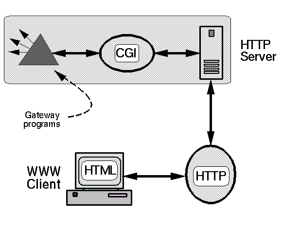A schematic illustration of HTTP, HTML, URLs and CGI